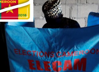 Présidentielle au Cameroun : rejet de la requête de l’opposant Kamto