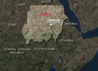 Soudan : au moins 9 morts dans un accident d’avion (TV)