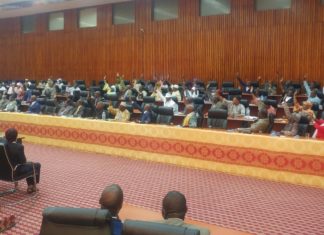 Assemblée Nationale/Volet dépense LFI 2019: les libéraux démocrates votent contre