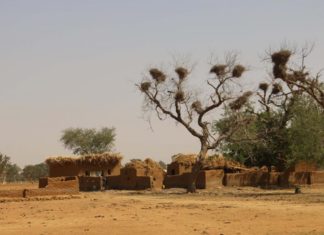 Mali: un village peul attaqué, 37 morts