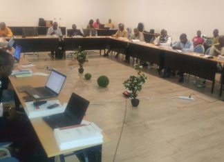 Projet minier de Tarihoye (Télimélé) : présentation de l’étude d’impact environnemental et social