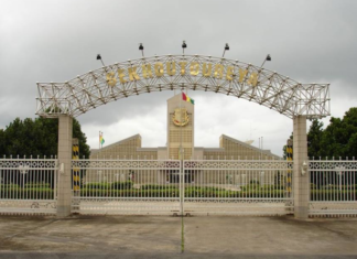 Guinée/Coronavirus : 12 membres du personnel d’appui à la présidence de la République testés positifs au Covid 19 (Communiqué)