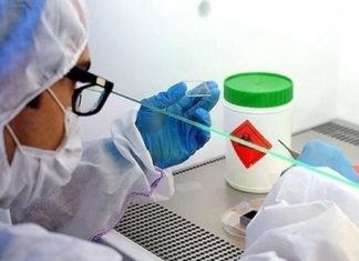 Le nouveau coronavirus pourrait ne jamais disparaître, selon l’OMS